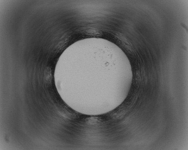 X0000091220320200709061504