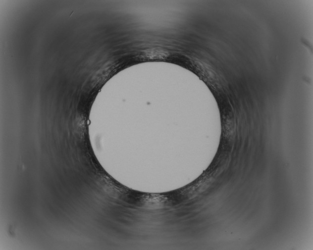 X0000091220321200709061504