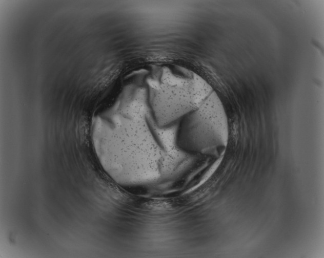 X0000091220322200709061504