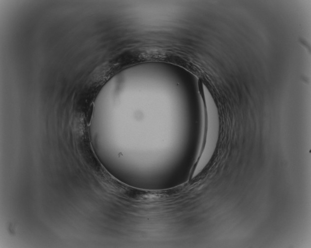 X0000091220323200709061504