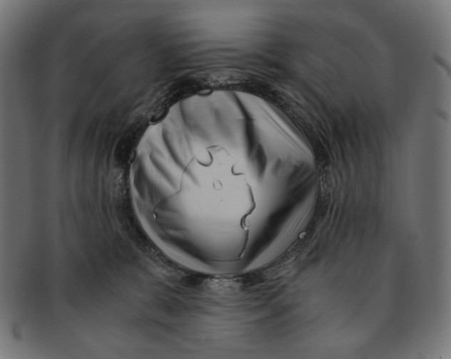 X0000091220327200709061504