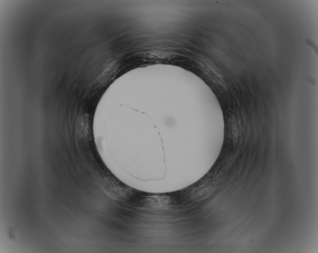 X0000091220328200709061504