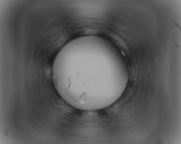 X0000091220329200709061504