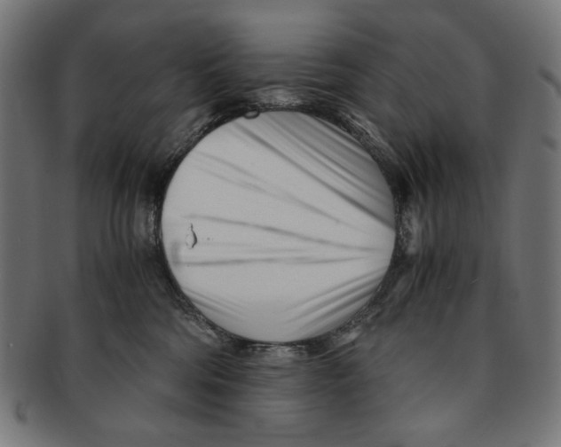 X0000091220330200709061504