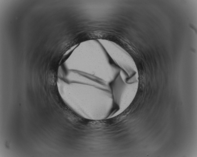 X0000091220331200709061504