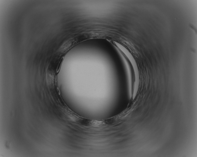 X0000091220333200709061504