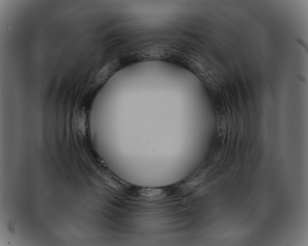 X0000091220334200709061504