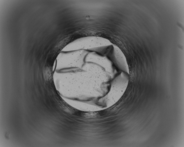 X0000091220335200709061504