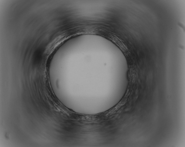 X0000091220338200709061503