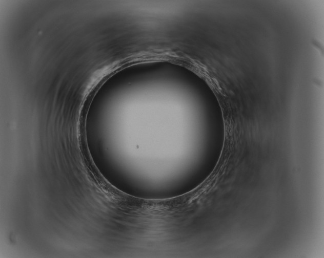 X0000091220340200709061504