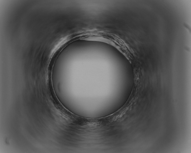 X0000091220344200709061504