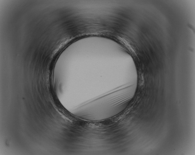 X0000091220346200709061504