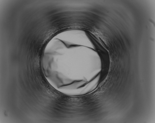 X0000091220347200709061504