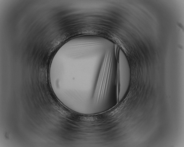 X0000091220349200709061504