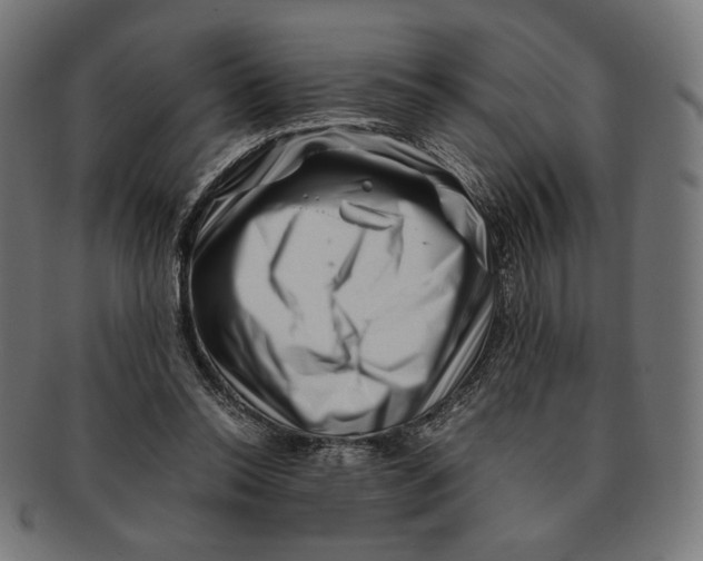 X0000091220350200709061504