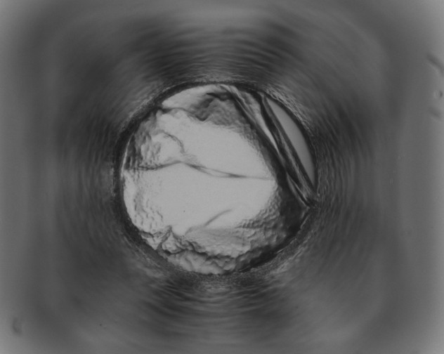 X0000091220351200709061504