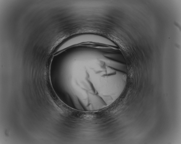 X0000091220352200709061504