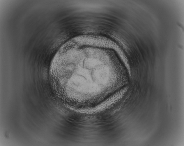 X0000091220353200709061504