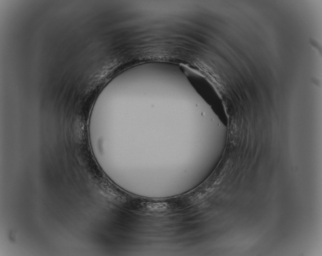 X0000091220355200709061504