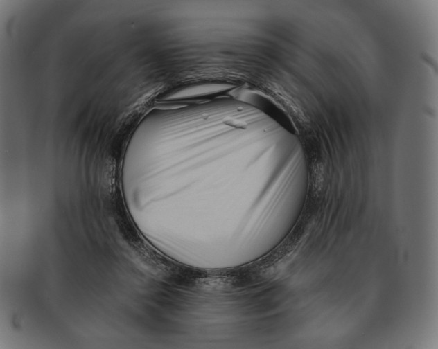 X0000091220356200709061504