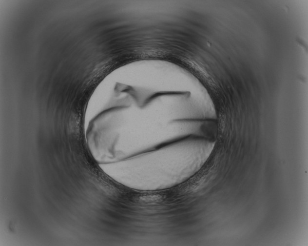 X0000091220357200709061504