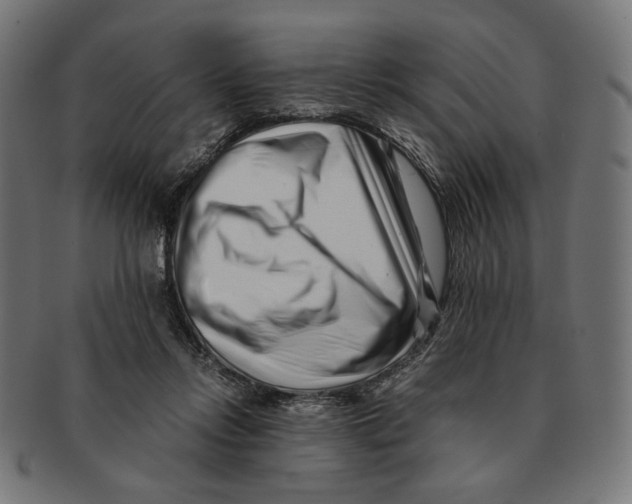 X0000091220358200709061504