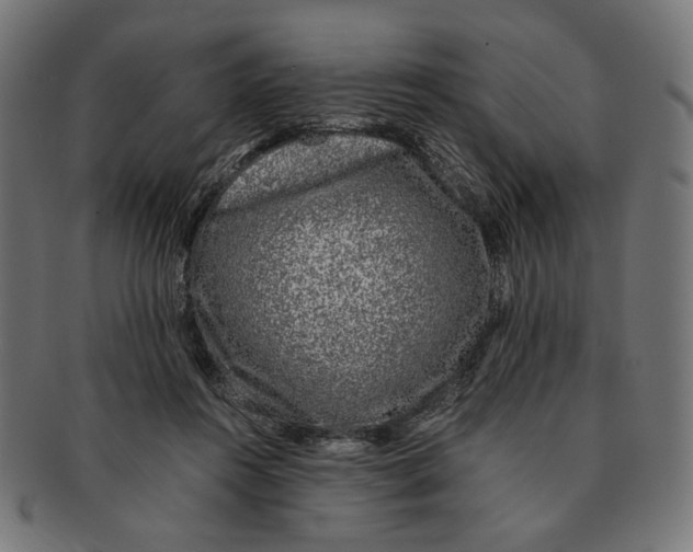 X0000091220360200709061504