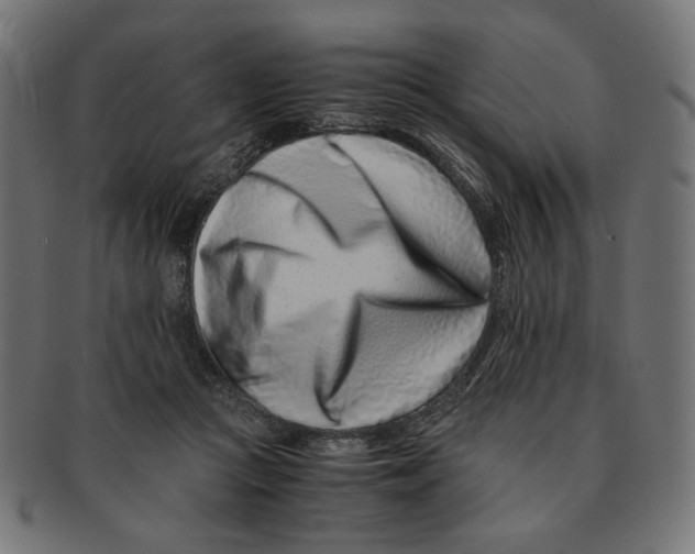 X0000091220361200709061504