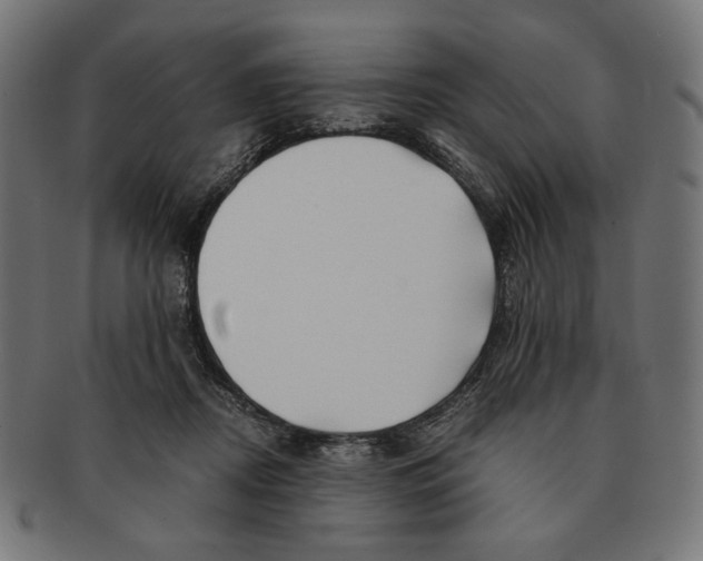 X0000091220362200709061504