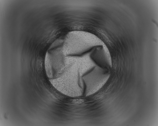 X0000091220363200709061504