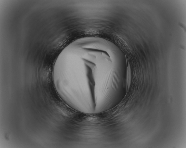 X0000091220364200709061504