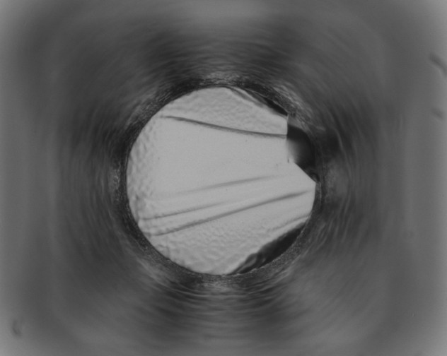 X0000091220365200709061504