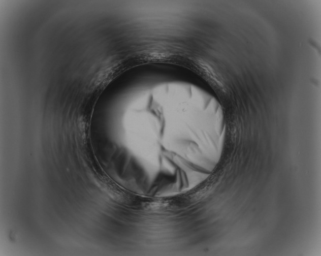 X0000091220366200709061504