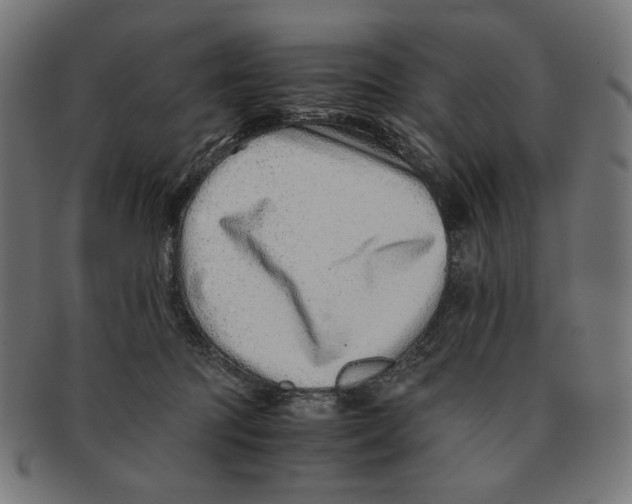 X0000091220369200709061504