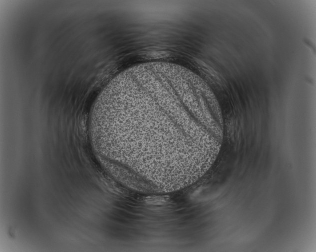 X0000091220373200709061504