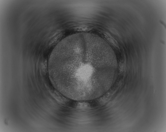 X0000091220376200709061504