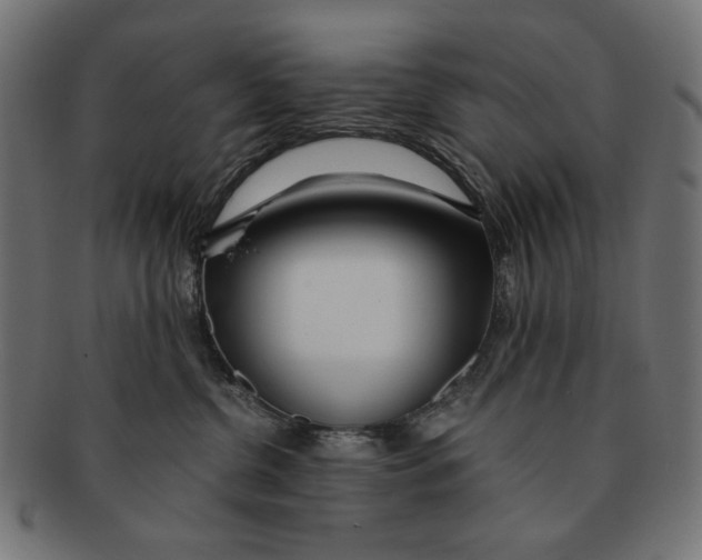 X0000091220380200709061504