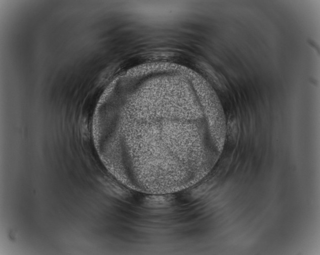 X0000091220381200709061504