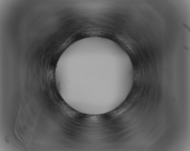 X0000091220382200709061504