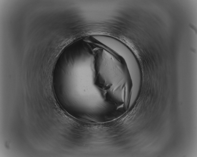 X0000091220385200709061503