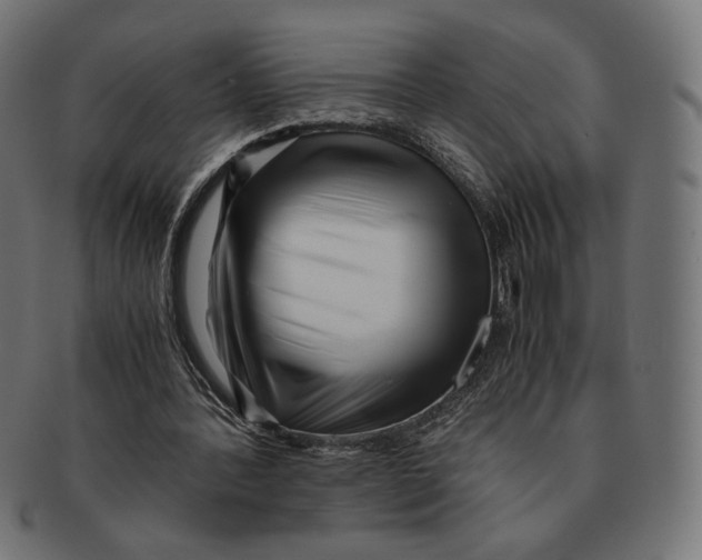 X0000091220388200709061503