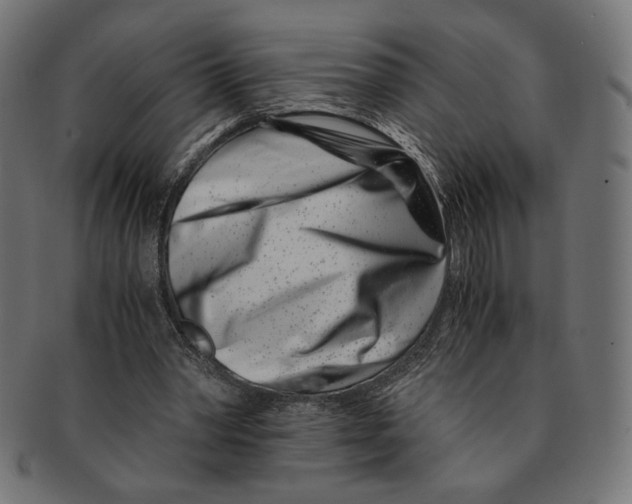 X0000091220390200709061503