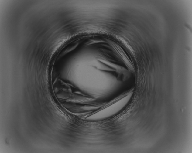 X0000091220391200709061503