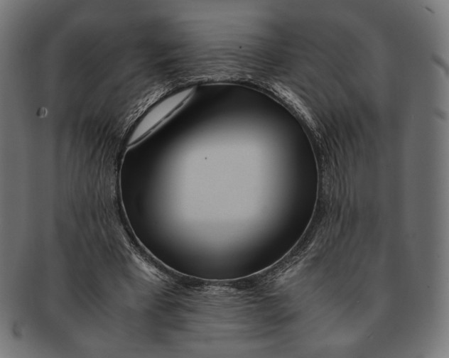 X0000091220393200709061503