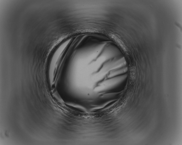 X0000091220395200709061503