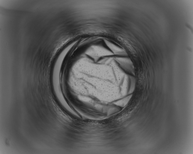 X0000091220399200709061503