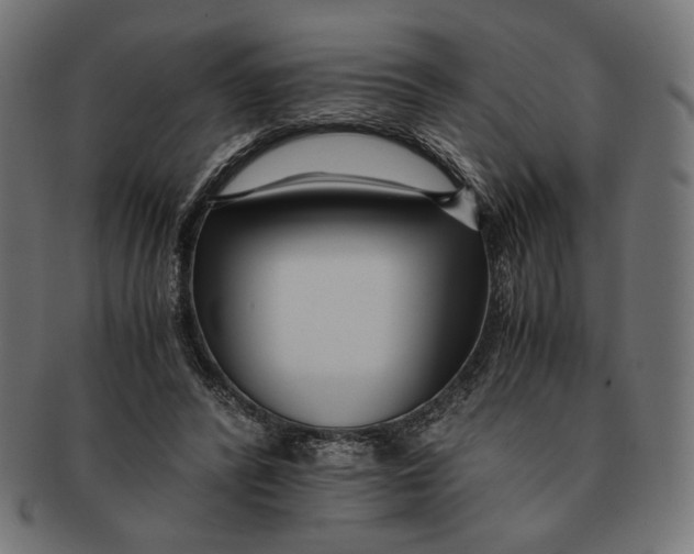 X0000091220400200709061503