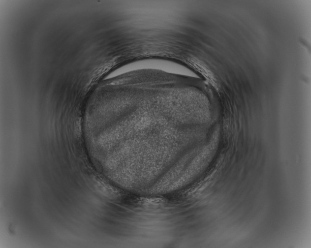 X0000091220401200709061503