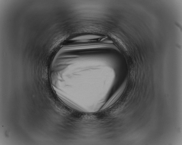 X0000091220403200709061503