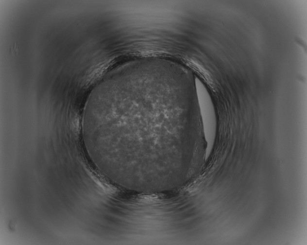 X0000091220405200709061503